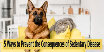 5 Ways to Prevent the Consequences of Sedentary Disease