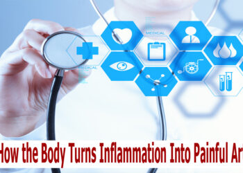 How Does the Body Turn Inflammation Into Painful Arthritis?